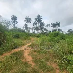 Acres of Farm Land at Olojo Vill. Mele, Off Moniya/Ijaye Road