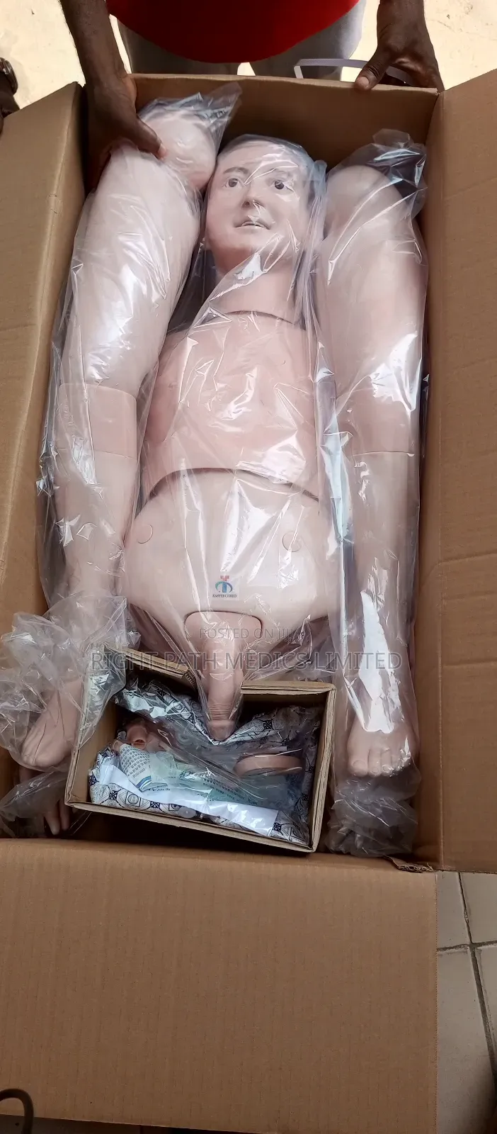 Life Size Model