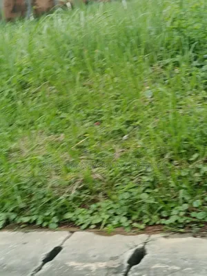 Full Plot Land in a Serviced Estate
