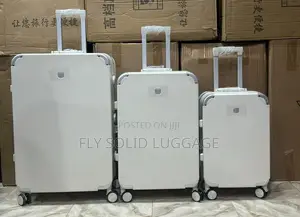 Metallic Travel Luggage Set of 3