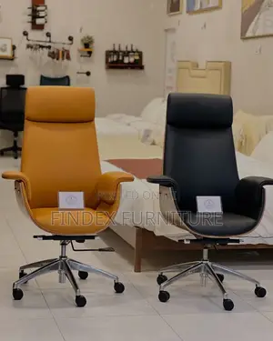 Executive Fashion Chair