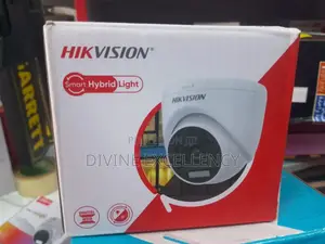 Hikvision Smart Hybrid Light With Audio