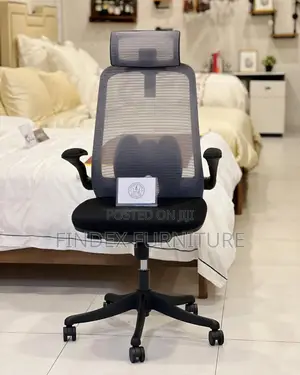 Executive Mesh Chair