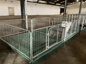 Piggery Cage for Weaning Stage