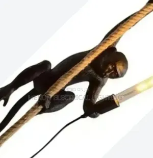 Hanging Monkey Light