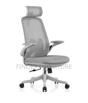 Ergonomic Chair