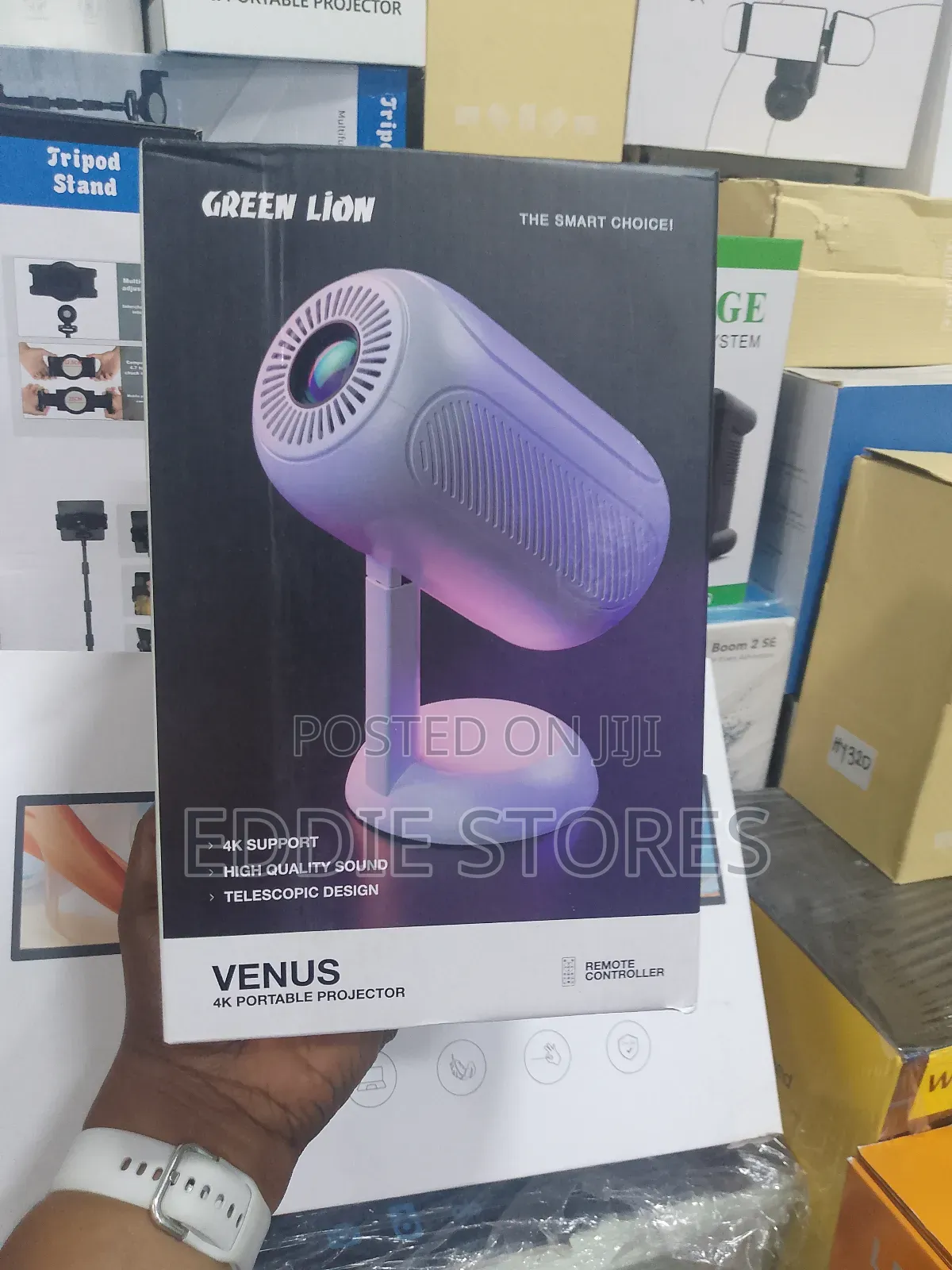Green Lion Portable Projector
