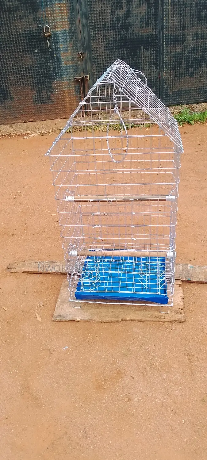 Parrot Cage
