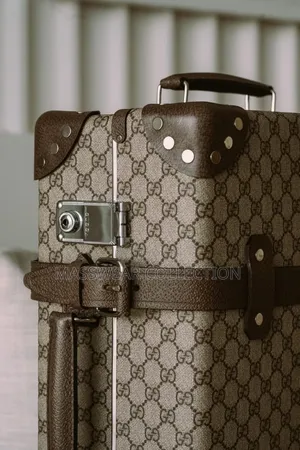 Luxury Luggage Box