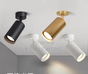 Track Light