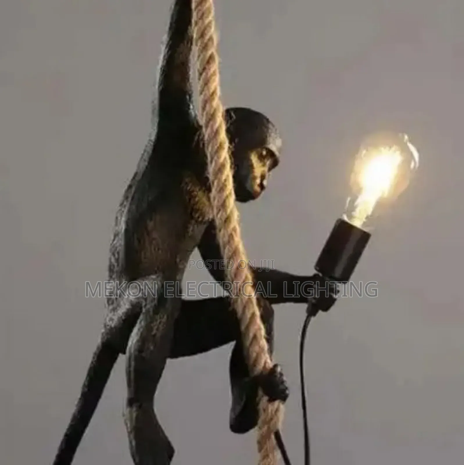 Hanging Monkey Light