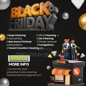 Cleaning and Laundry Service