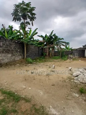 Buy and Build Half Plot of Land for Sale Elimgbu