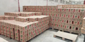 Knoor Maggi Seasoning