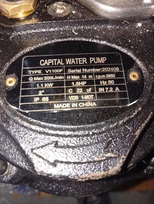 Sewage Pump