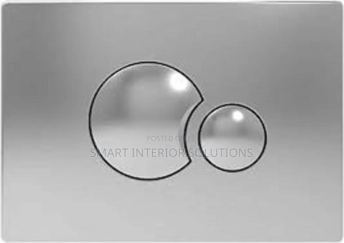 Sanit - Flush Plate