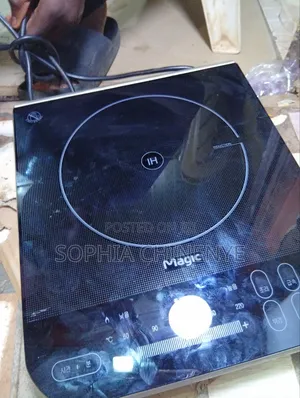 Belgium Electric Induction Cooker