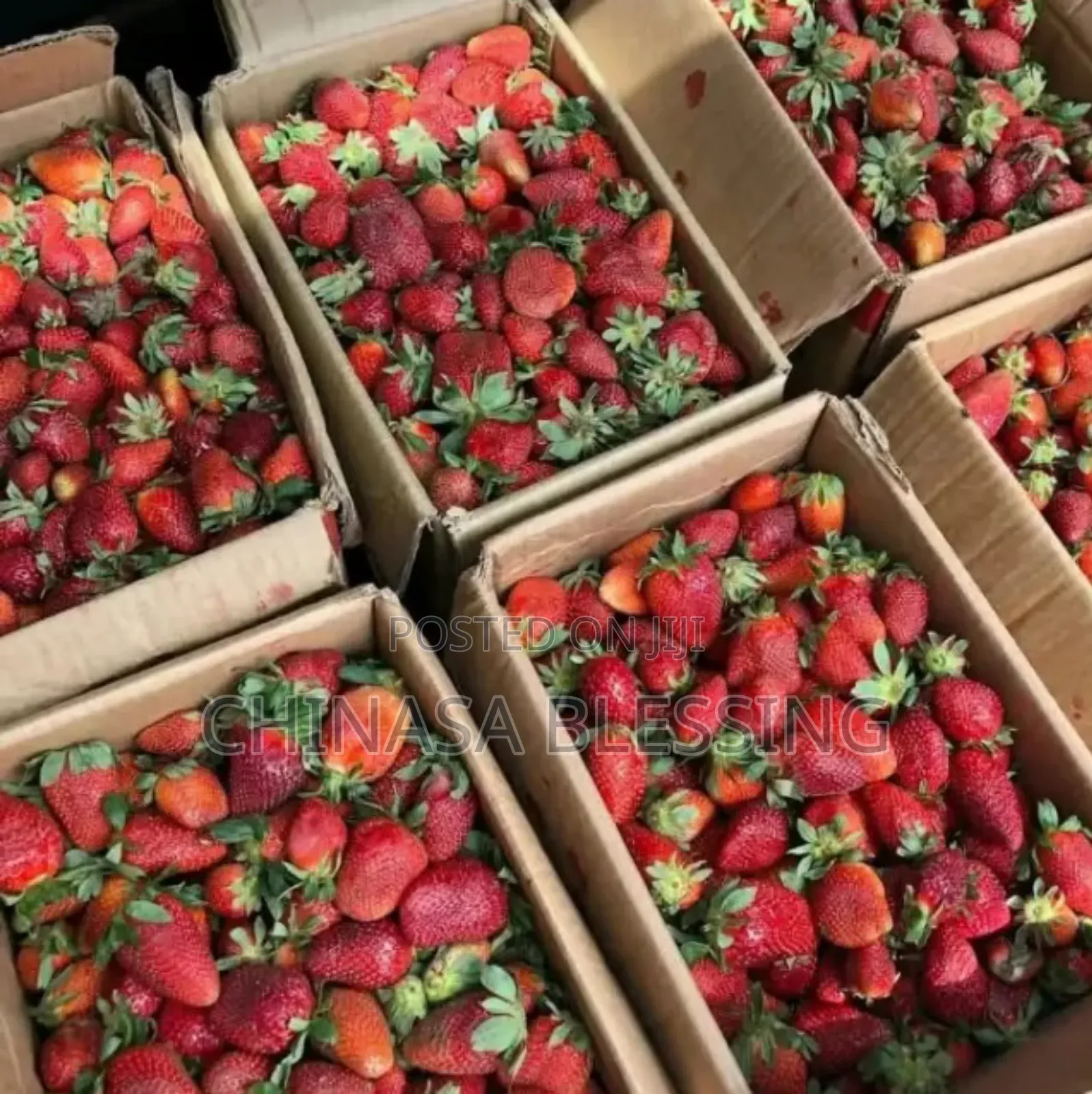 Strawberry Per Kg