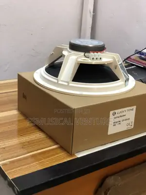 Lucky Tone 100watts Ceiling Speakers