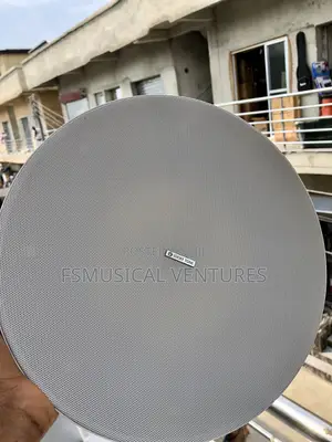 Lucky Tone 100watts Ceiling Speakers