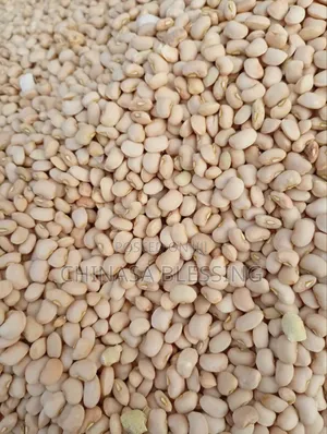 Bag of Butter Beans