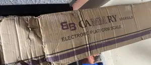 Bb Camry Digital Platform Scale 500kg
