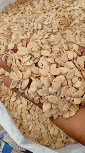 Unpeeled Egusi Seeds