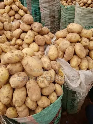 Bag Of Irish Potatoes