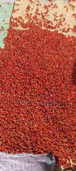 Small Seeds Pepper