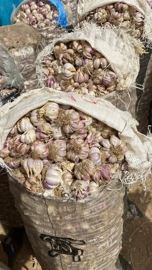Bag Of Garlic