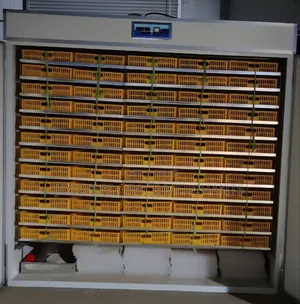 6000 Eggs Chicken Hatchery Incubator Machine.