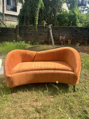Curvy Orange Sofa for Ante Room