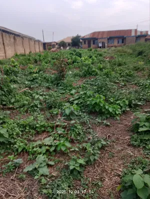 830sqm Land at Iyalode Olorunda