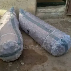 Jumbo Bag Of Onions