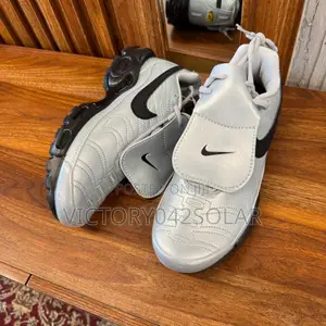 *Nike Airmax Plus Tn “Tiempo”