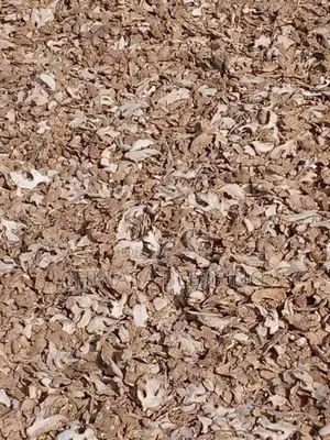 Dry Ginger