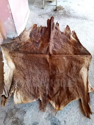 Dry Ponmo/ Cowskin