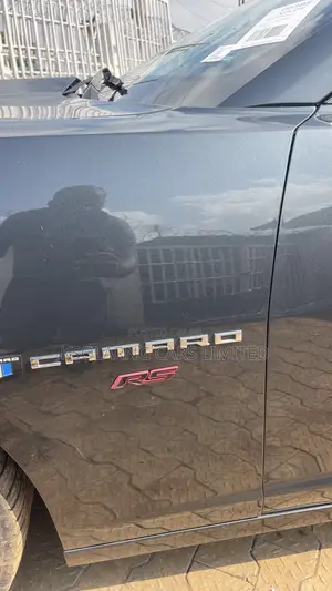 Chevrolet Camaro 2014 Gray