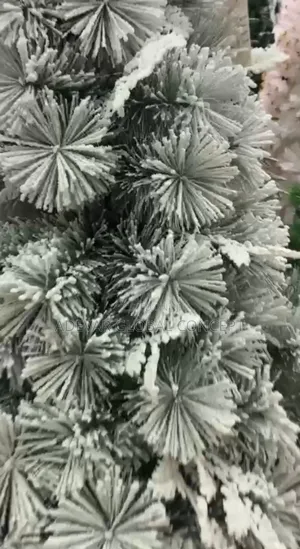Christmas Snow Flocked Tree (Available in 6ft to 10ft)