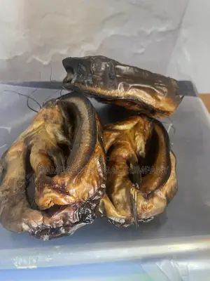 Smoked Catfish, Export Standard Smoked Catfish