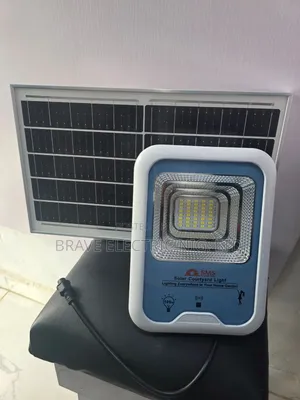 100w SMS Courtyard Flood Light