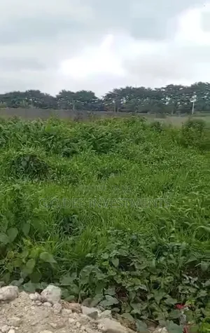 Half Plot of Land With Receipt and Survey for Sale at Giveaway