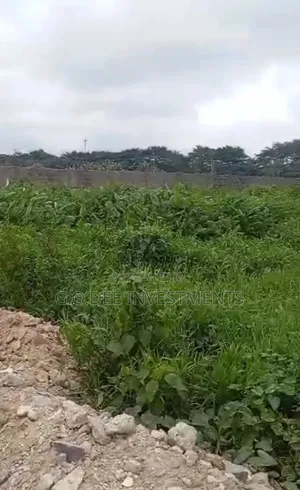 Half Plot of Land for Sale in Amuwo Odofin