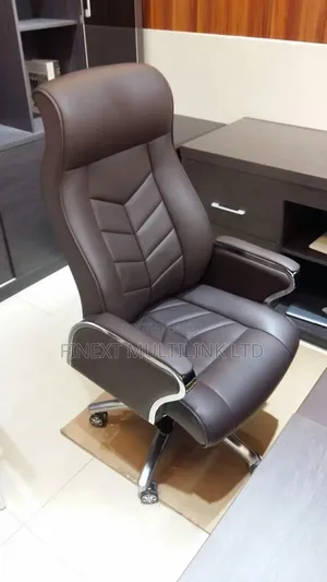 Executive Ergonomic Office Chair