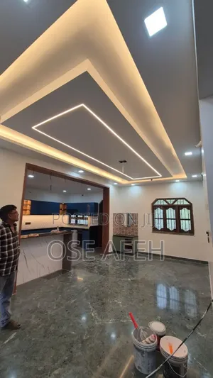 Plaster of Paris Ceilings