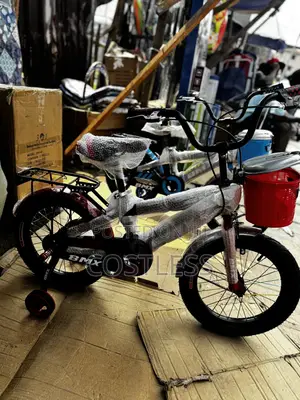 Perfect Starter Bicycle for Kids