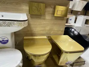 Inner and Outer Gold Concealed Wc