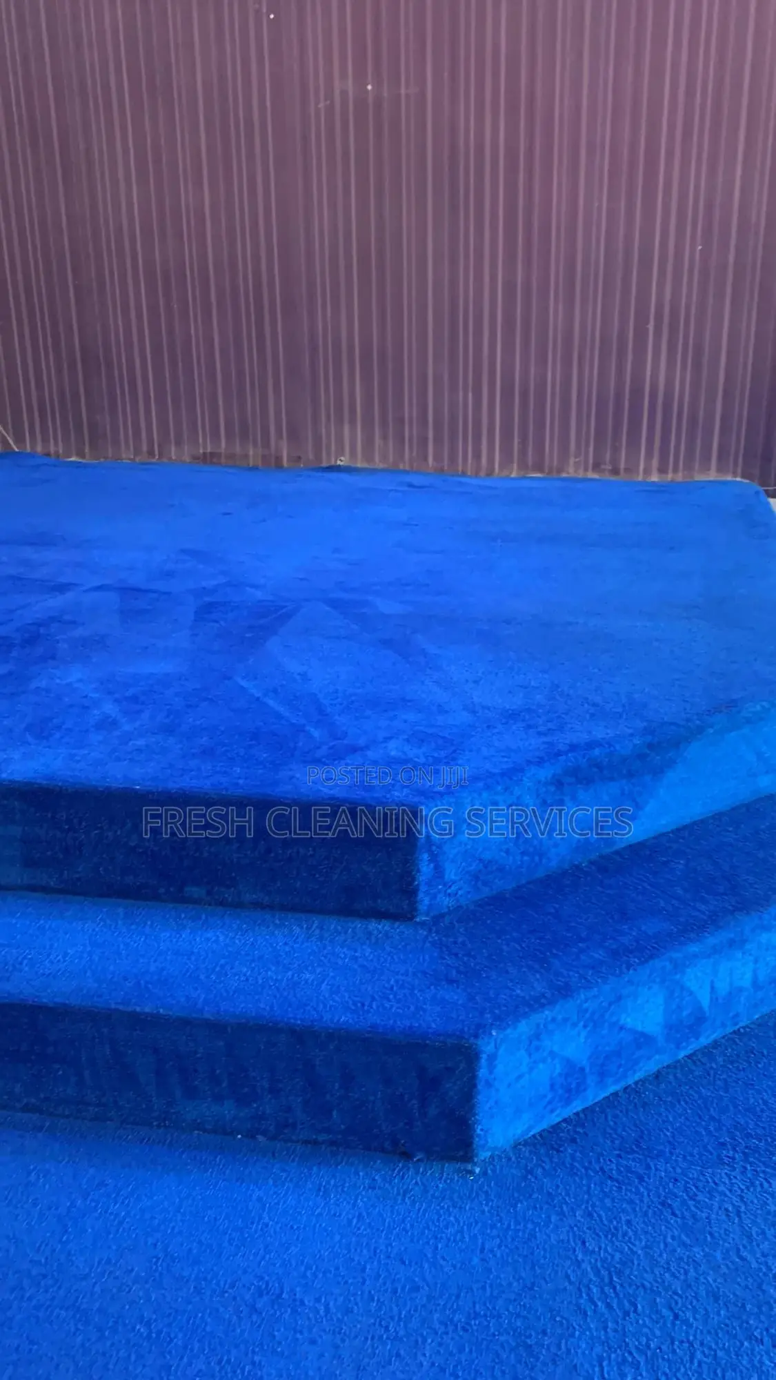 Revive Your Upholstery With Our Professional Cleaning Technique