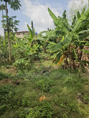 Residential Land at Lekki Foreshore