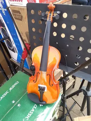 All Sizes Of Acoustic Violins Available.